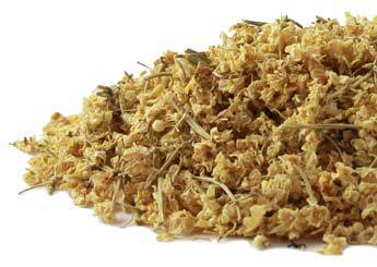 elderflower - Fern & Lily