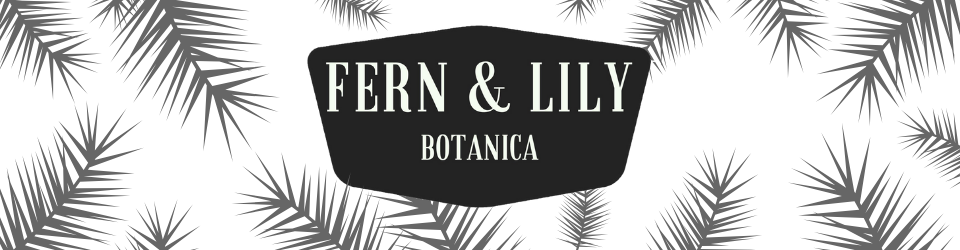 Fern & Lily Botanica